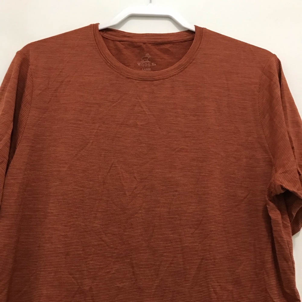 WoolX Men's Crew Neck T-Shirt in Rust Brown Size L - Picture 2 of 5